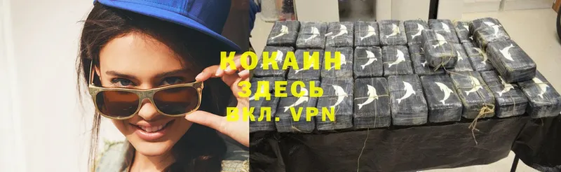 что такое   Олонец  COCAIN VHQ 